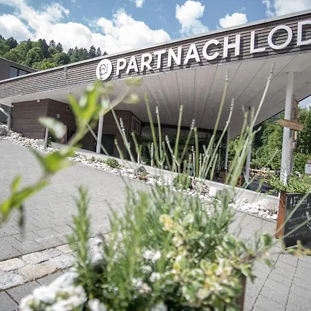 Apartment Partnachlodge